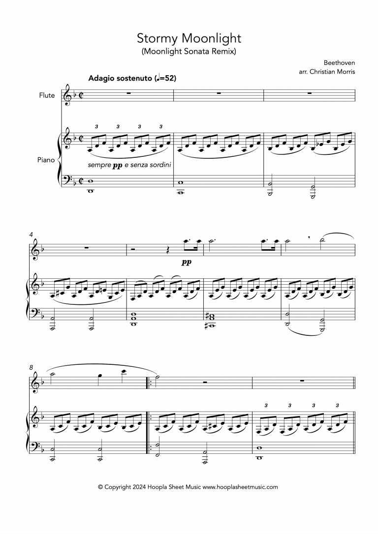 Stormy Moonlight (Moonlight Sonata Remix) (Flute and Piano)